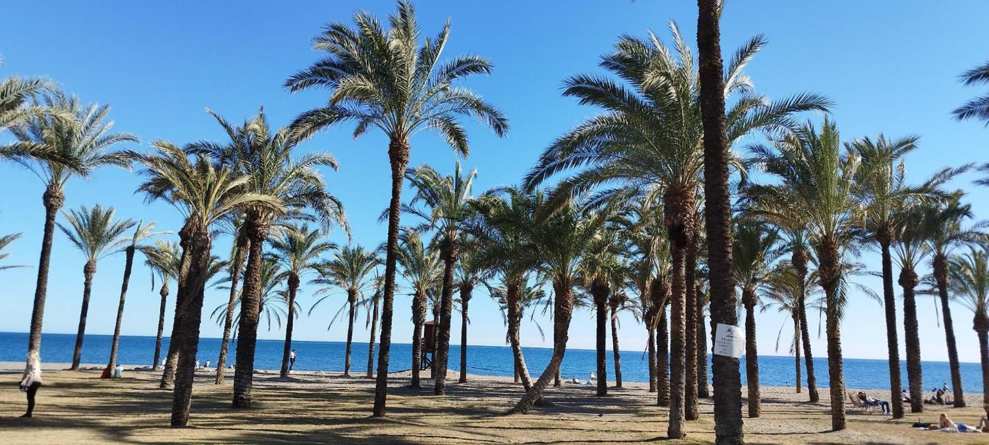 Torremolinos:Appartement Avec Piscine Et Terrasse Exterior photo