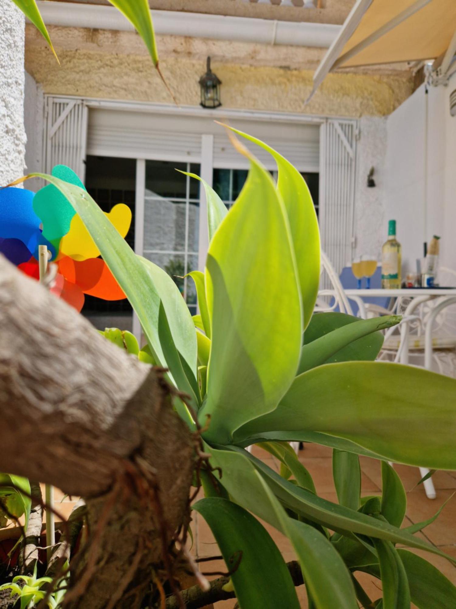 Torremolinos:Appartement Avec Piscine Et Terrasse Exterior photo